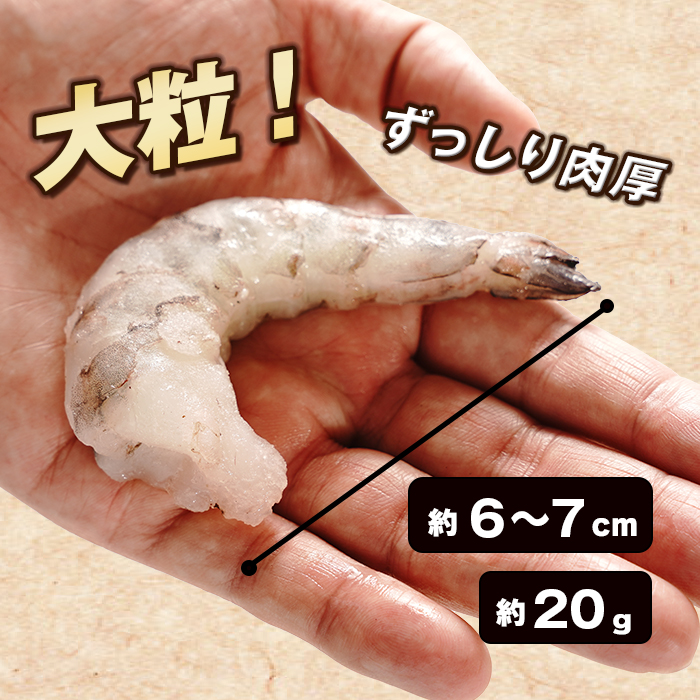 【定期便6ヶ月】大粒むきえび 1kg　ブラックタイガー えび