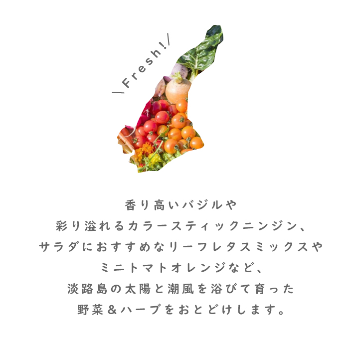 【定期便】彩り野菜と香るハーブセット 12回お届け　野菜