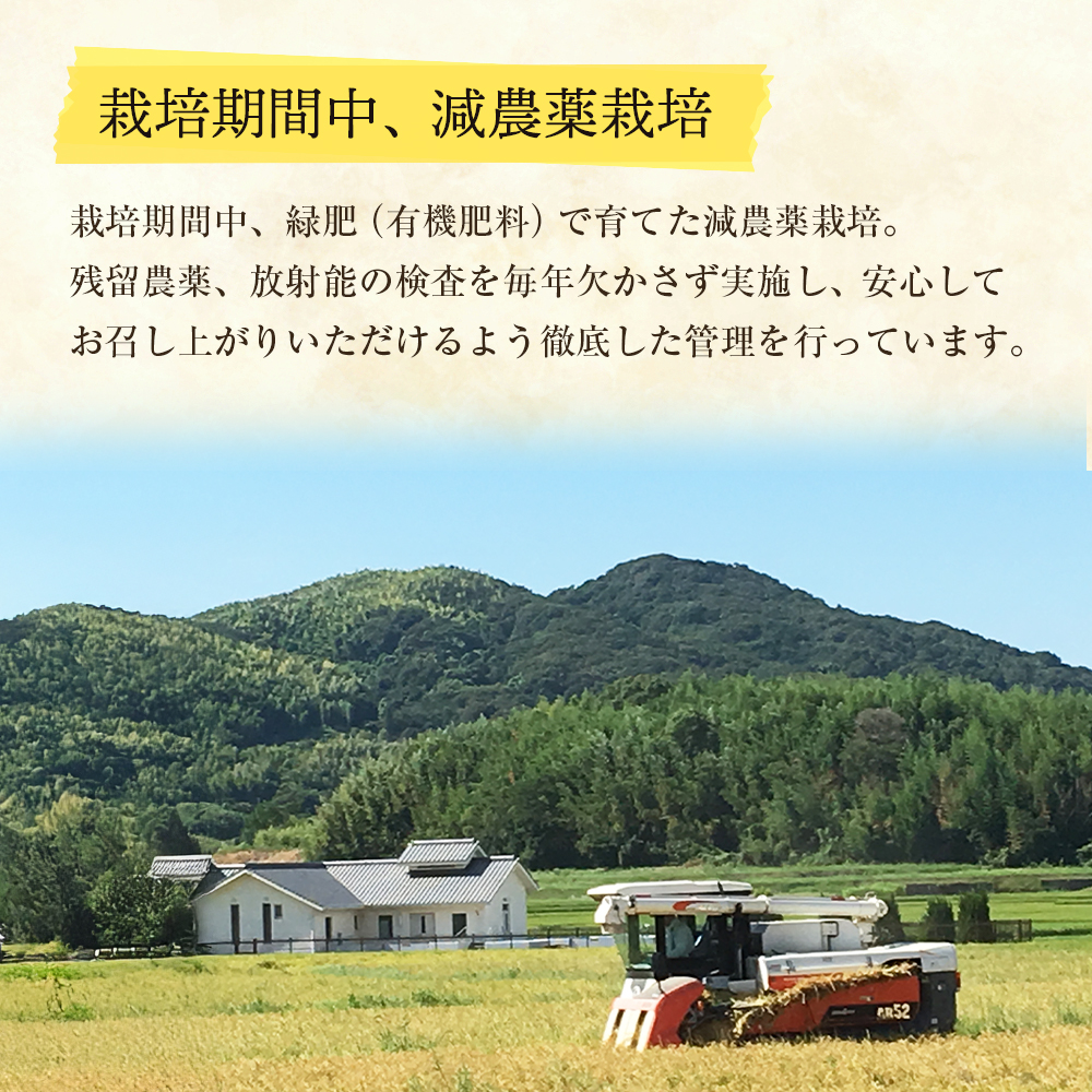 【定期便】野添農園のキヌヒカリ 5kgｘ12ヶ月 白米