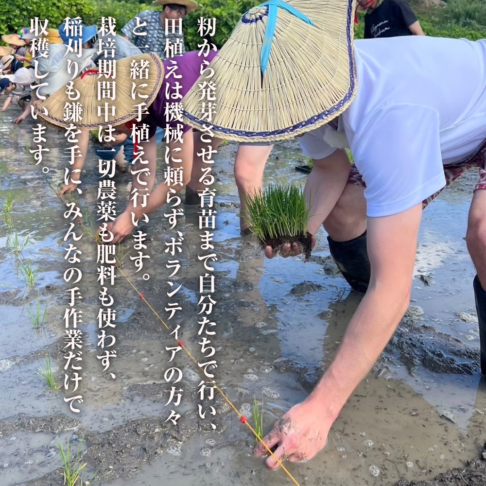 來子道米 ～きしどうまい～ 450g×3個 【栽培期間中、無農薬無肥料】 白米
