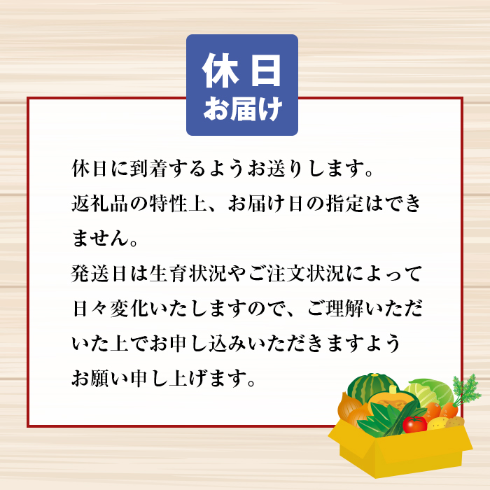 淡路島の新鮮野菜セット【休日お届け】　野菜