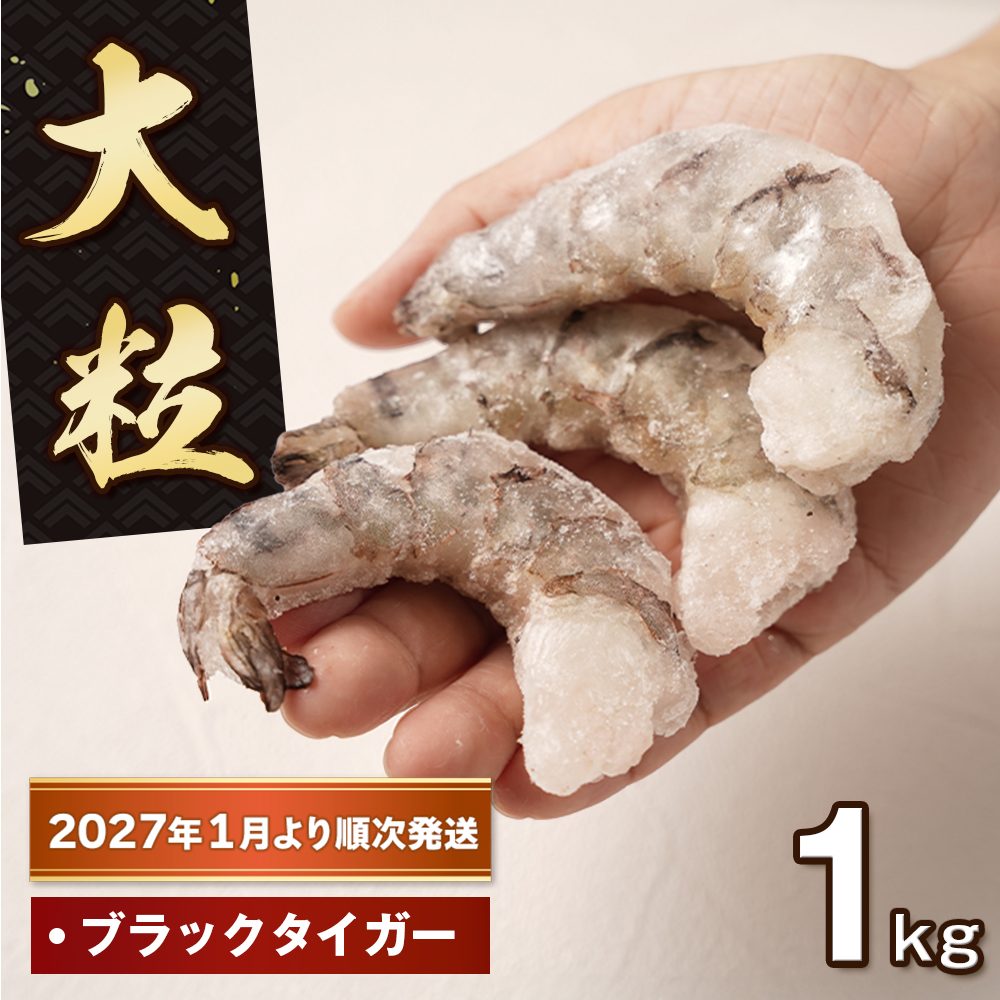 至福の大粒むきえび　背ワタ処理済 1kg【2027年1月より順次発送】えび
