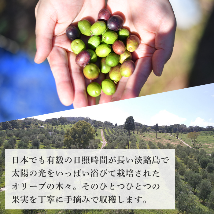 3本セット！「Virgin Valley 淡路阿利布」91ｇ（エキストラバージンオリーブオイル）【2025年度産】