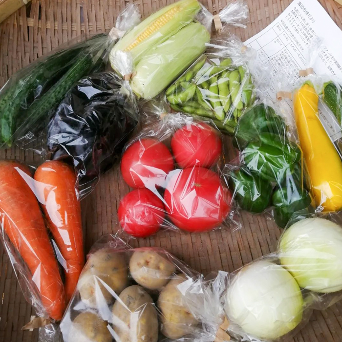 ご家庭向けお野菜セット～旬のおまかせBOX～2回お届け