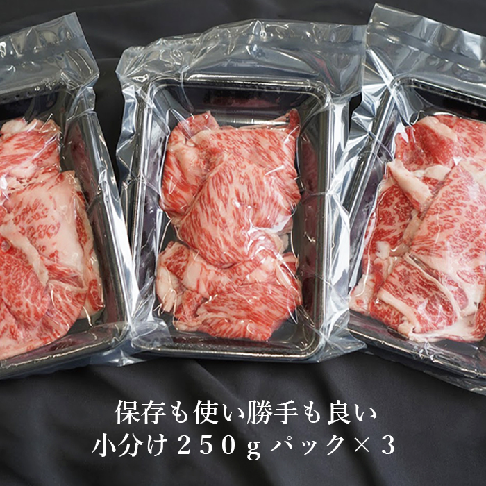 【定期便6ヶ月】 淡路牛 ロース切り落し 750g (250g×3パック)　切り落し