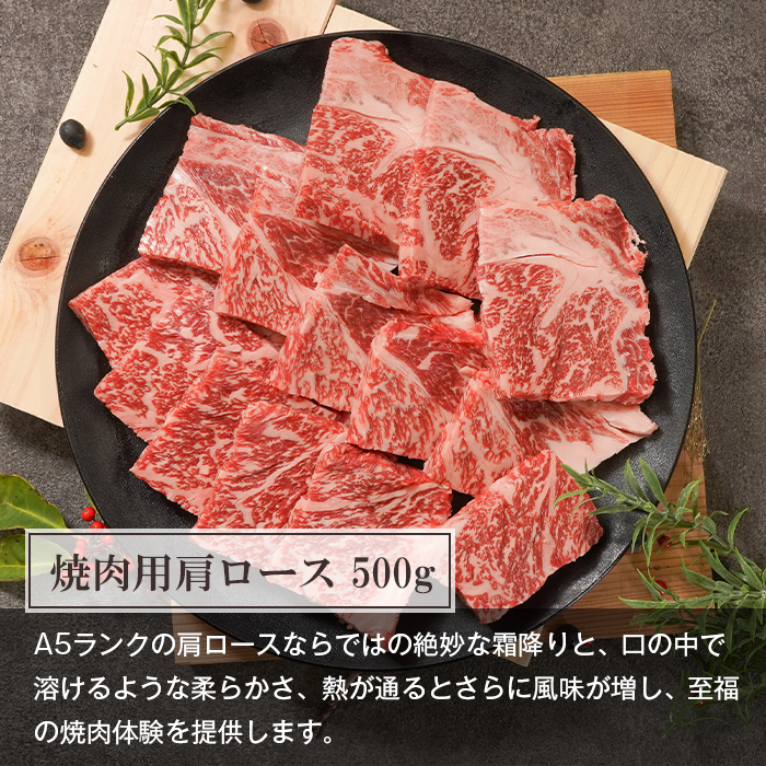 【定期便12ヶ月】A5ランク限定 淡路島産黒毛和牛 贅沢定期便 神戸牛