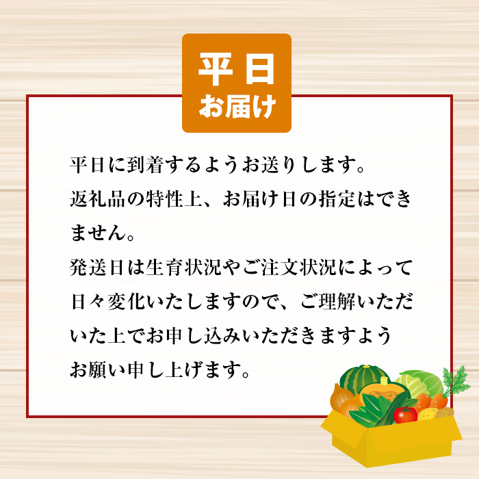 淡路島の新鮮野菜セット【平日お届け】　野菜