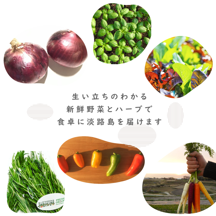 【定期便】彩り野菜と香るハーブセット 12回お届け　野菜