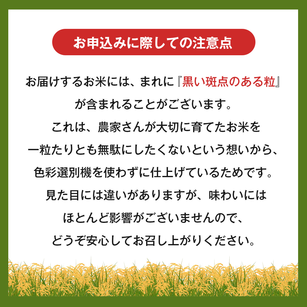 淡路島産キヌヒカリ 5kg （白米）