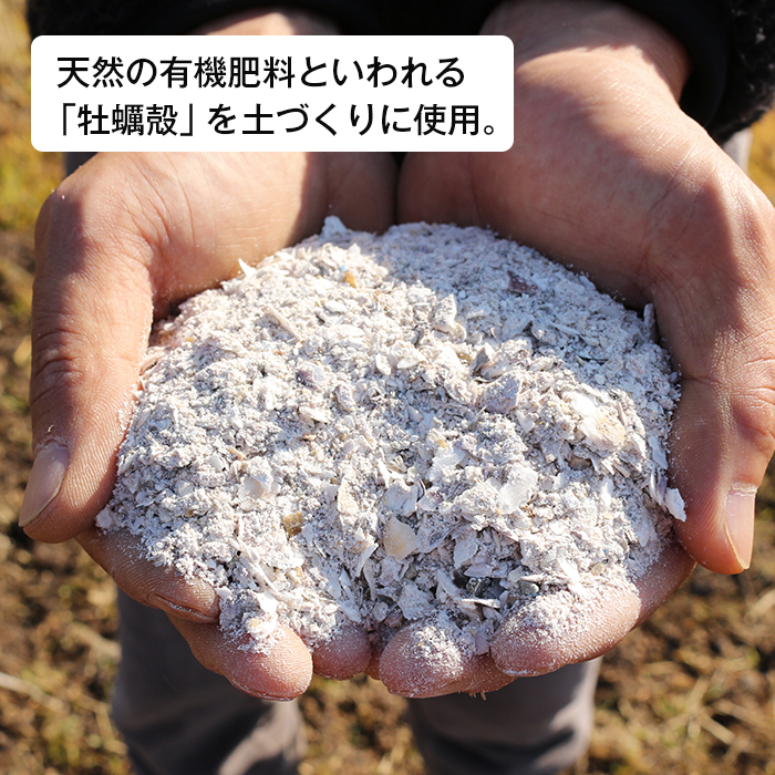 淡路島産玉ねぎオイスターラブ 10kg箱　玉ねぎ