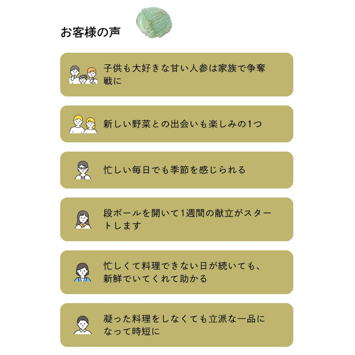 ご家庭向けお野菜セット～旬のおまかせBOX～2回お届け