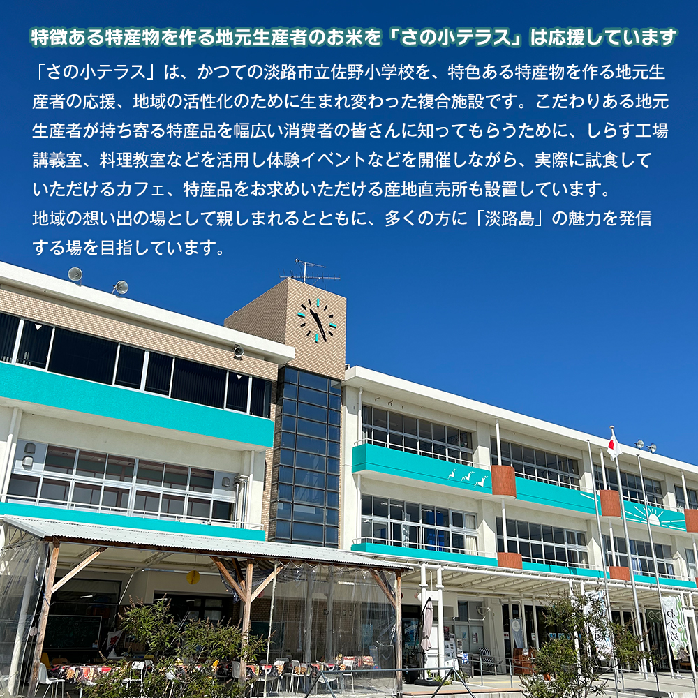 淡路島産キヌヒカリ 5kg （白米）