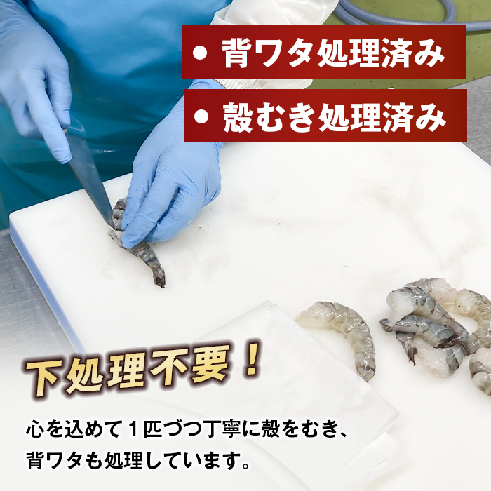 至福の大粒むきえび　背ワタ処理済 1kg【2026年12月より順次発送】　ブラックタイガー 冷凍 ムキエビ  大型 海老