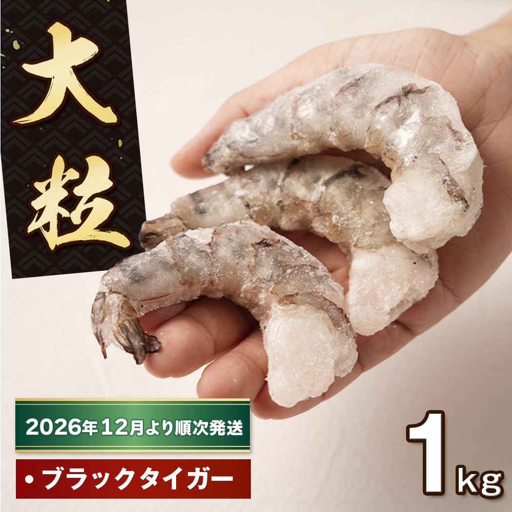 至福の大粒むきえび　背ワタ処理済 1kg【2026年12月より順次発送】　ブラックタイガー 冷凍 ムキエビ  大型 海老