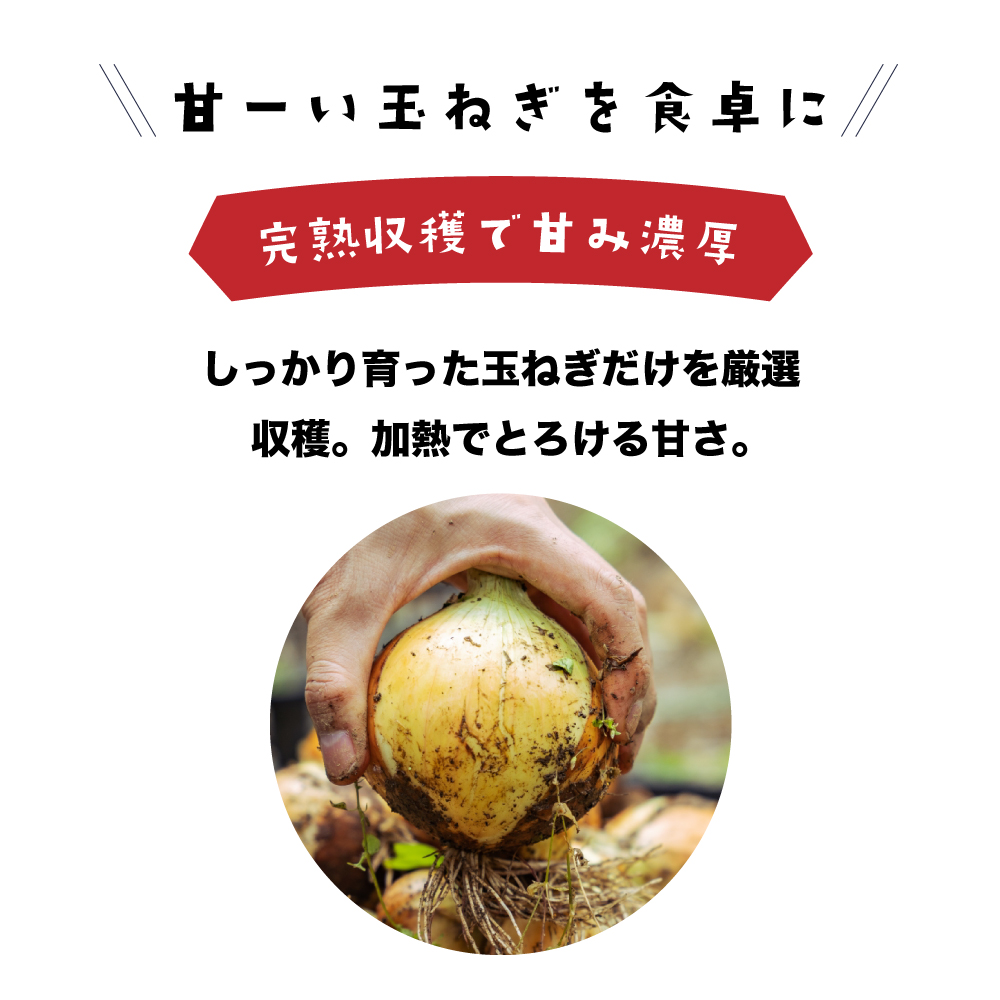 健幸農園の完熟淡路島産玉ねぎ 5kg　玉ねぎ