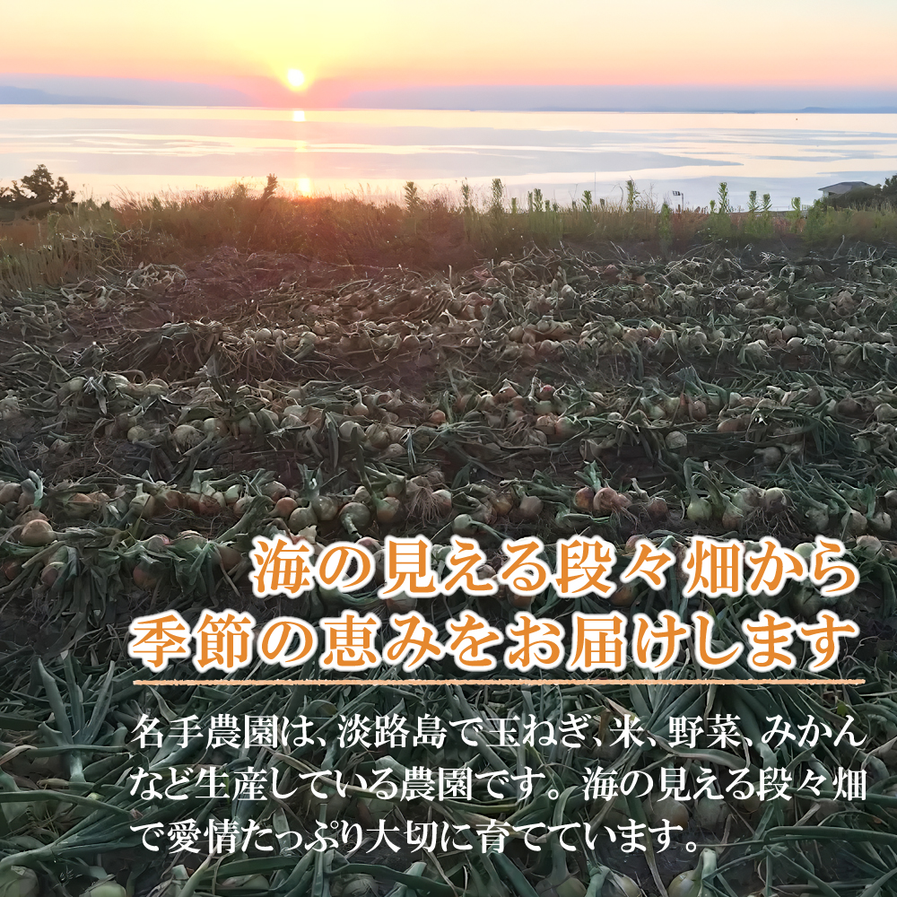 名手農園の淡路島産玉ねぎスープ 6g×60袋　 スープ
