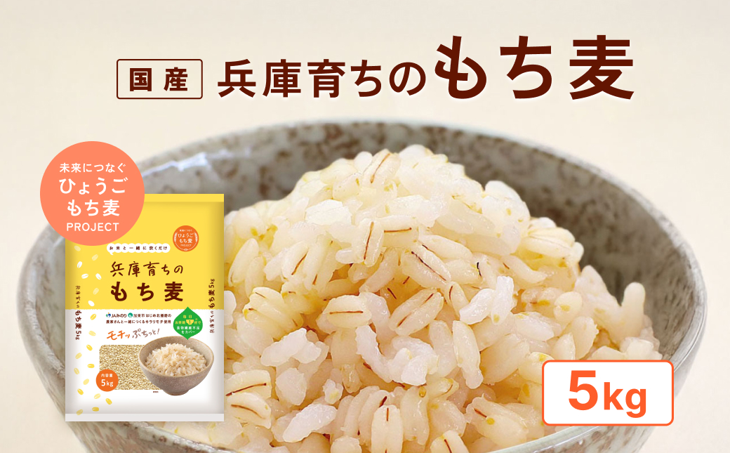兵庫育ちの もち麦 5kg[国産 キラリモチ 食物繊維 ] 雑穀