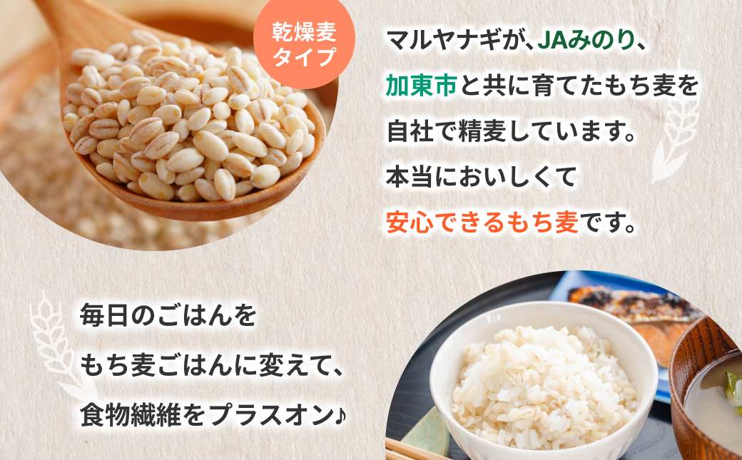 兵庫育ちの もち麦 5kg[国産 キラリモチ 食物繊維 ] 雑穀