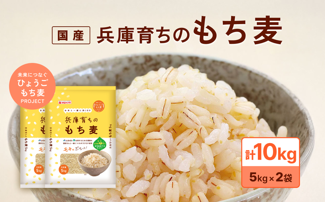 兵庫育ちの もち麦 10kg [国産 キラリモチ 食物繊維 ] 雑穀 モチ麦