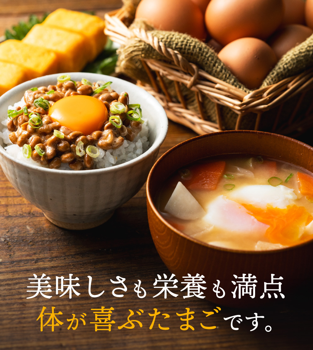【累計600万個突破！】★TVで紹介されました★【定期便】タズミの卵Ｍサイズ（20個×3か月）015AB02N.／こだわり卵 市川町産 兵庫県産 たまご たまごかけご飯 玉子 生卵 鶏卵 タマゴ 卵焼き TKG 3か月 定期便