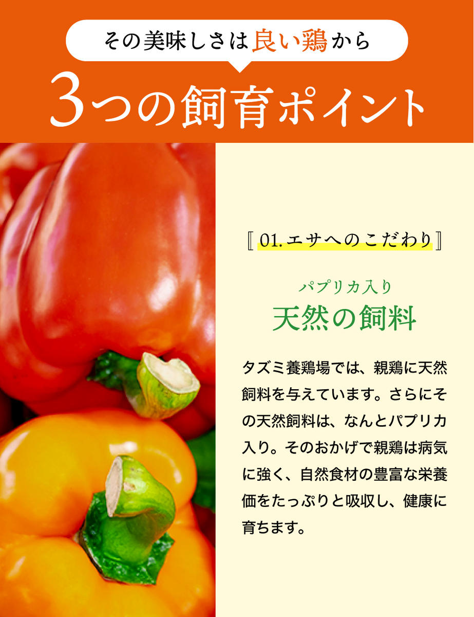 【累計600万個突破！】★TVで紹介されました★【定期便】タズミの卵Ｍサイズ（30個×6か月）044AB01N.／こだわり卵 市川町産 兵庫県産 たまご 卵 たまごかけご飯 玉子 生卵 鶏卵 タマゴ 卵焼き TKG 6か月 定期便
