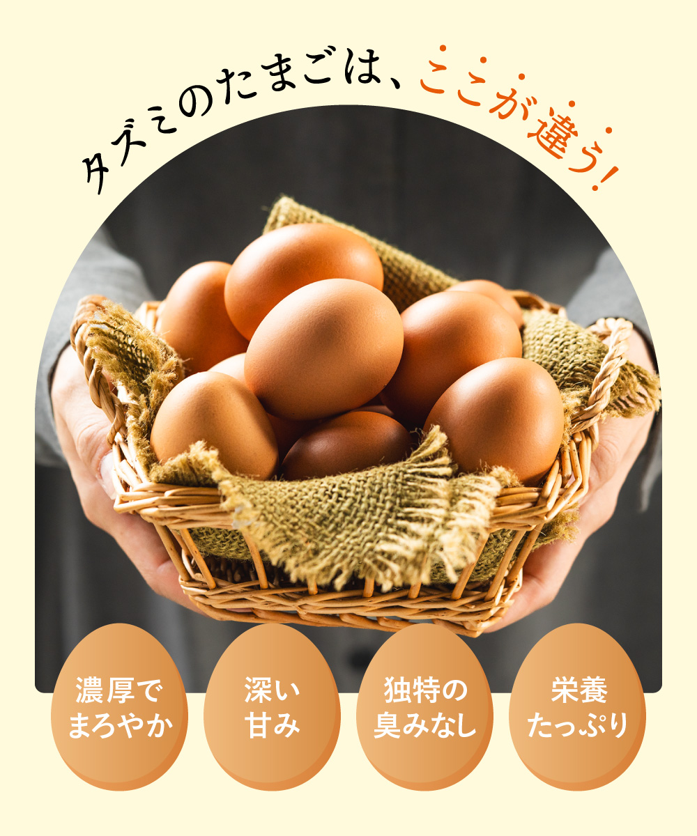 【累計600万個突破！】★TVで紹介されました★【定期便】タズミの卵Ｍサイズ（20個×6か月）030AB02N.／こだわり卵 市川町産 兵庫県産 たまご たまごかけご飯 玉子 生卵 鶏卵 タマゴ 卵焼き TKG 6か月 定期便