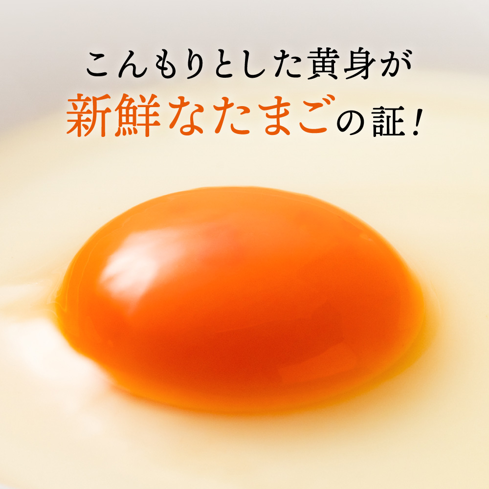 【累計600万個突破！】【TVで紹介されました】タズミの卵Ｍサイズ（20個）005AB02N.／こだわり卵 市川町産 兵庫県産 たまご 卵 たまごかけご飯 玉子 生卵 鶏卵 タマゴ 卵焼き TKG