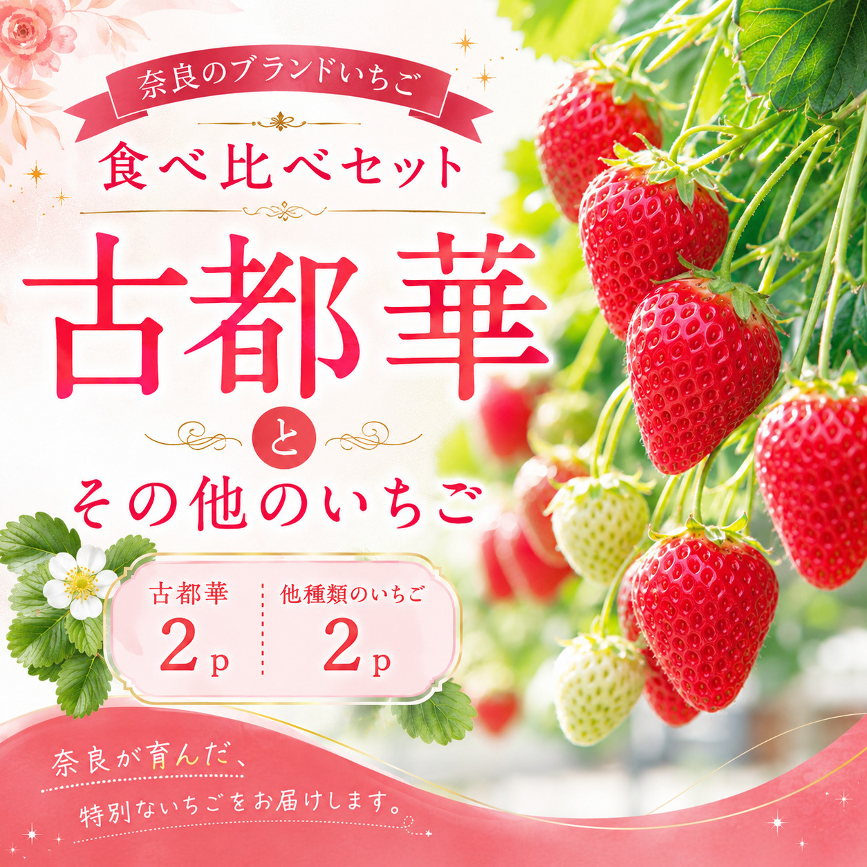 いちご ことか 食べ比べ 2種 計4パック 先行予約 2027年発送 古都華 苺 フルーツ 果物 ストロベリー 甘い スイーツ デザート 数量限定 産地直送 冷蔵 ブランド苺 プレゼント ギフト 贈答 家庭用 フレッシュ 新鮮 旬 itigo strawberry かおりの 珠姫 たまひめ 奈乃華 なのか ならあかり あすかルビー イチゴ ならいちご 奈良県 奈良市 奈良 なら めいとく農園 mtn002_R9