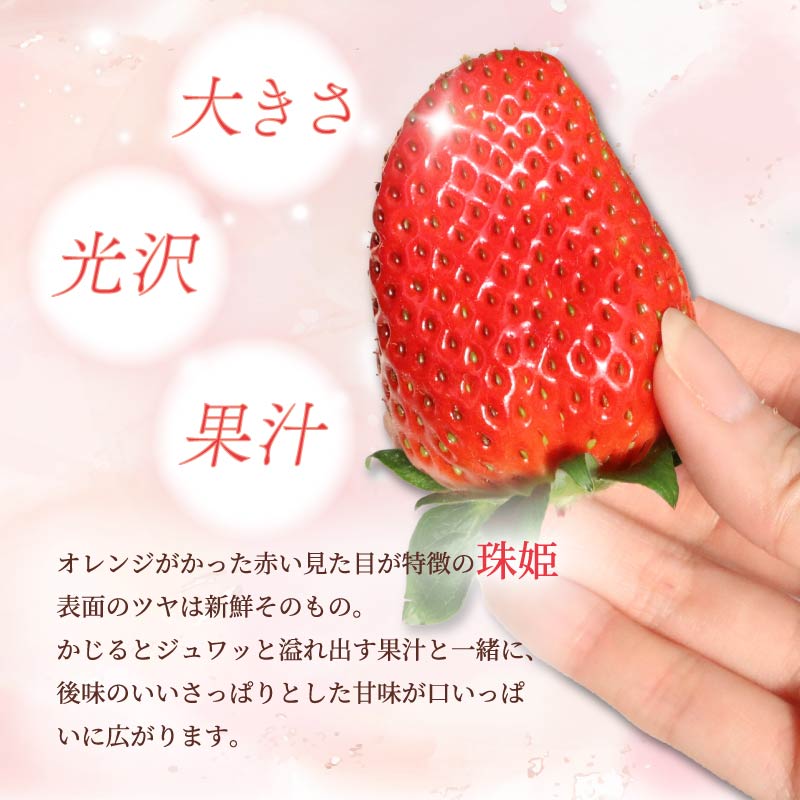 いちご たまひめ 珠姫 4パック 先行予約 2027年発送 古都華 苺 イチゴ フルーツ 果物 くだもの ストロベリー 甘い ジューシー スイーツ デザート 数量限定 産地直送 冷蔵 ブランド苺 ならいちご 奈良いちご 大粒 果肉 プレゼント ギフト 贈答 贈答品 家庭用 お祝い フレッシュ 新鮮 旬 itigo strawberry レア 希少品種 希少 奈良県 奈良市 なら めいとく農園 mtn005_R9
