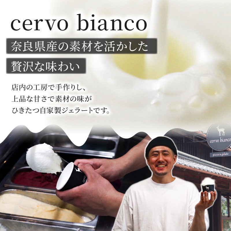 ジェラート 5個 詰め合わせ セットじぇらーと 美味しいジェラート 甘いジェラート ふるさと納税ジェラート ミルクジェラート アイス 濃厚ミルク ミルクアイス ミルク 濃厚 牧場ミルク あいす ソフトクリーム アイスクリーム あいすくりーむ スイーツ お菓子 洋菓子 おかし デザート 贈り物 ギフト 贅沢 口溶け なめらか cervo bianco チェルボビアンコ 奈良県 奈良市 なら