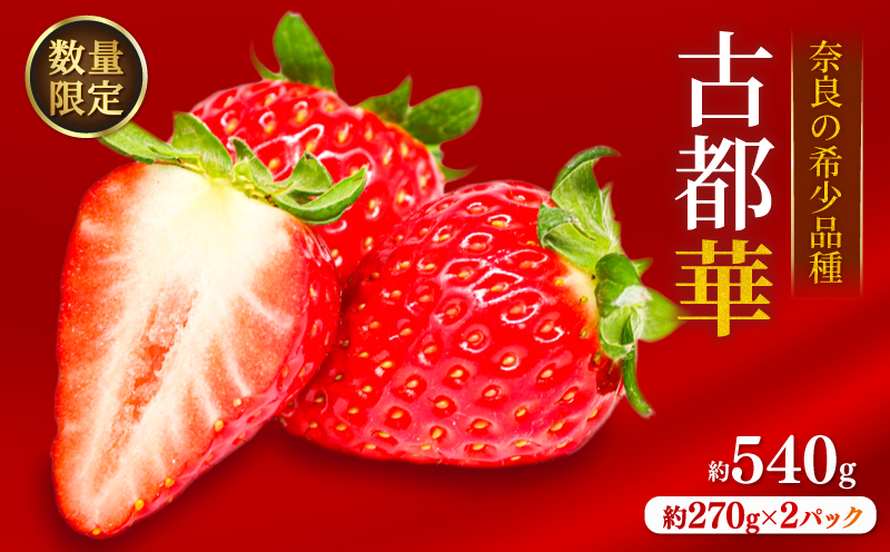 いちご ことか 約540g 約270g×2パック 古都華 先行予約 【2027年2月発送】 数量限定 選べる容量 産地直送 希少品種 旬 冷蔵 イチゴ 苺 itigo ichigo strawberry ストロベリー いちご 大粒 お取り寄せ 国産 フルーツ 果物 スイーツ 小分け ブランドいちご ふるさと納税いちご 甘い 完熟 おすすめ 贈答 プレゼント 奈良県 奈良市 のぼるちゃんファーム