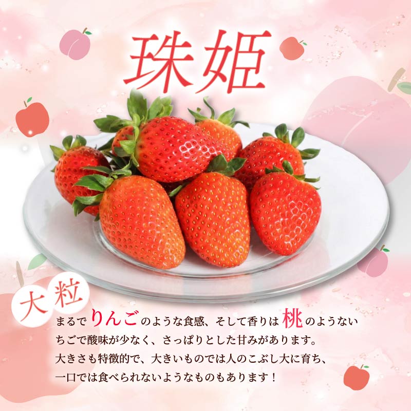 いちご たまひめ 珠姫 2パック 先行予約 2027年発送 古都華 苺 イチゴ フルーツ 果物 くだもの ストロベリー 甘い ジューシー スイーツ デザート 数量限定 産地直送 冷蔵 ブランド苺 ならいちご 奈良いちご 大粒 果肉 プレゼント ギフト 贈答 贈答品 家庭用 お祝い フレッシュ 新鮮 旬 itigo strawberry レア 希少品種 希少 奈良県 奈良市 なら めいとく農園 mtn004_R9