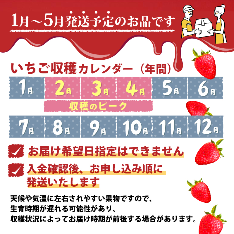 いちご ことか 食べ比べ 2種 計4パック 先行予約 2027年発送 古都華 苺 フルーツ 果物 ストロベリー 甘い スイーツ デザート 数量限定 産地直送 冷蔵 ブランド苺 プレゼント ギフト 贈答 家庭用 フレッシュ 新鮮 旬 itigo strawberry かおりの 珠姫 たまひめ 奈乃華 なのか ならあかり あすかルビー イチゴ ならいちご 奈良県 奈良市 奈良 なら めいとく農園 mtn002_R9