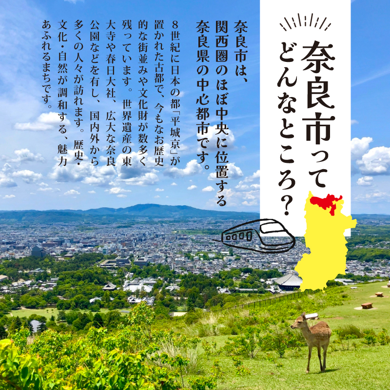 海老 のポタジェ ・ ライスソース 冷凍 10パック ご飯にかける 簡単調理 時短ごはん 冷凍ストック ギフト お取り寄せグルメ 野菜ダイニング 菜宴 なら 奈良県 奈良市 H-76