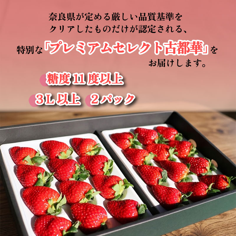 いちご ことか プレミアムセレクト 18玉以上 2パック 3Lサイズ 2027年発送 大粒 古都華 化粧箱 数量限定 苺 イチゴ 季節限定 旬 フルーツ 果物 スイーツ デザート ストロベリー 甘い 数量限定 産地直送 冷蔵 ブランド苺 奈良いちご 果肉 プレゼント ギフト 贈答 贈答品 家庭用 お祝い フレッシュ 新鮮 旬 itigo strawberry 奈良県 奈良市 なら めいとく農園 mtn003_R9
