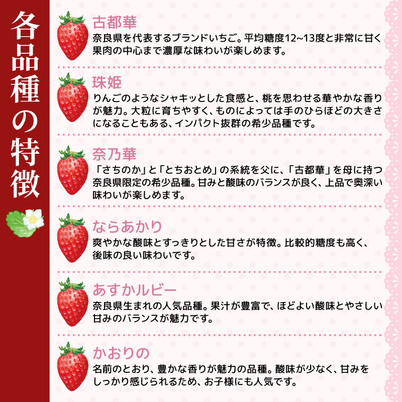 いちご ことか 食べ比べ 2種 計2パック 先行予約 2027年発送 古都華 苺 フルーツ 果物 ストロベリー 甘い スイーツ デザート 数量限定 産地直送 冷蔵 ブランド苺 プレゼント ギフト 贈答 家庭用 フレッシュ 新鮮 旬 itigo strawberry かおりの 珠姫 たまひめ 奈乃華 なのか ならあかり あすかルビー イチゴ ならいちご 奈良県 奈良市 奈良 なら めいとく農園 mtn001_R9