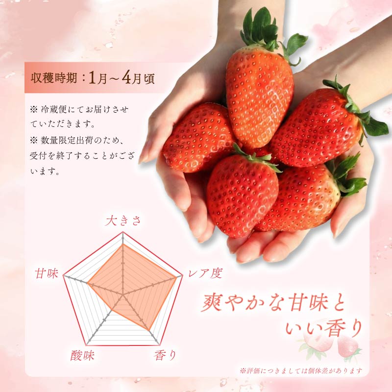 いちご たまひめ 珠姫 2パック 先行予約 2027年発送 古都華 苺 イチゴ フルーツ 果物 くだもの ストロベリー 甘い ジューシー スイーツ デザート 数量限定 産地直送 冷蔵 ブランド苺 ならいちご 奈良いちご 大粒 果肉 プレゼント ギフト 贈答 贈答品 家庭用 お祝い フレッシュ 新鮮 旬 itigo strawberry レア 希少品種 希少 奈良県 奈良市 なら めいとく農園 mtn004_R9