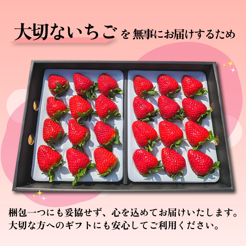 いちご ことか プレミアムセレクト 18玉以上 2パック 3Lサイズ 2027年発送 大粒 古都華 化粧箱 数量限定 苺 イチゴ 季節限定 旬 フルーツ 果物 スイーツ デザート ストロベリー 甘い 数量限定 産地直送 冷蔵 ブランド苺 奈良いちご 果肉 プレゼント ギフト 贈答 贈答品 家庭用 お祝い フレッシュ 新鮮 旬 itigo strawberry 奈良県 奈良市 なら めいとく農園 mtn003_R9