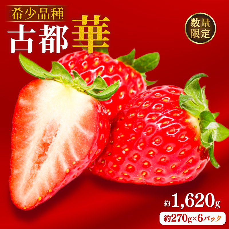 いちご ことか 約1620g 約270g×6パック 古都華 先行予約 【2027年3月発送】 数量限定 選べる容量 産地直送 希少品種 旬 冷蔵 イチゴ 苺 itigo ichigo strawberry ストロベリー いちご 大粒 お取り寄せ 国産 フルーツ 果物 スイーツ 小分け ブランドいちご ふるさと納税いちご 甘い 完熟 おすすめ 贈答 プレゼント 奈良県 奈良市 のぼるちゃんファーム