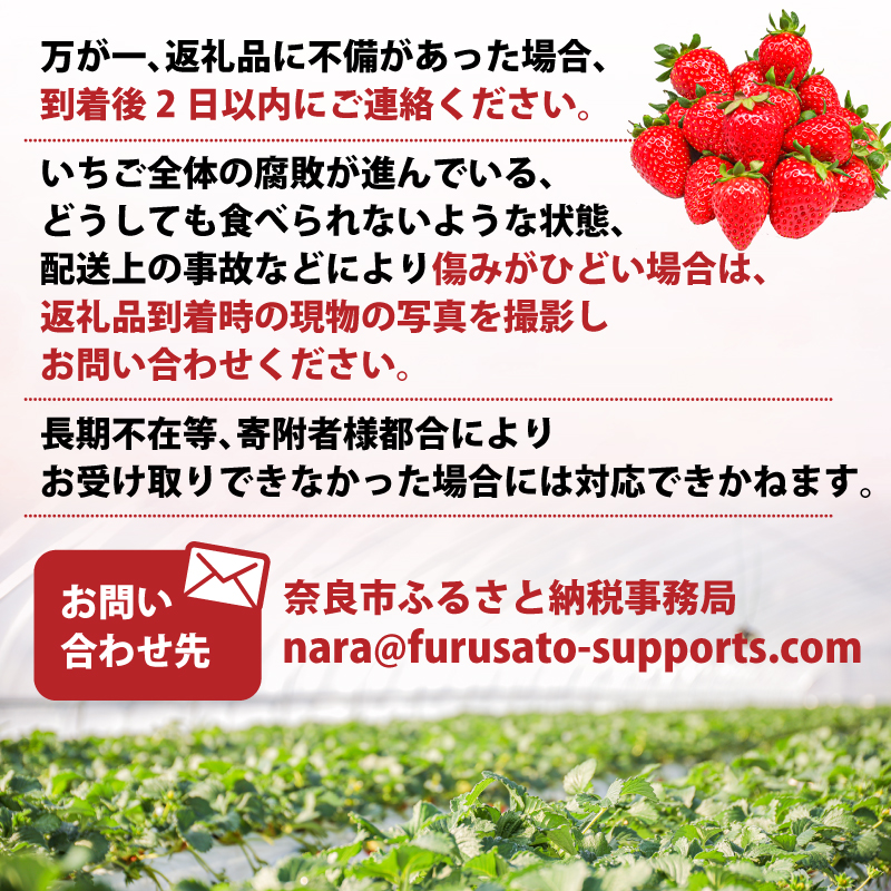 いちご ことか 食べ比べ 2種 計2パック 先行予約 2027年発送 古都華 苺 フルーツ 果物 ストロベリー 甘い スイーツ デザート 数量限定 産地直送 冷蔵 ブランド苺 プレゼント ギフト 贈答 家庭用 フレッシュ 新鮮 旬 itigo strawberry かおりの 珠姫 たまひめ 奈乃華 なのか ならあかり あすかルビー イチゴ ならいちご 奈良県 奈良市 奈良 なら めいとく農園 mtn001_R9
