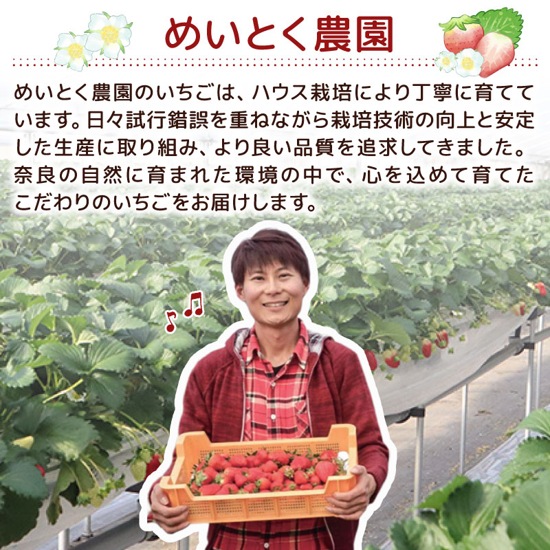いちご ことか 食べ比べ 2種 計2パック 先行予約 2027年発送 古都華 苺 フルーツ 果物 ストロベリー 甘い スイーツ デザート 数量限定 産地直送 冷蔵 ブランド苺 プレゼント ギフト 贈答 家庭用 フレッシュ 新鮮 旬 itigo strawberry かおりの 珠姫 たまひめ 奈乃華 なのか ならあかり あすかルビー イチゴ ならいちご 奈良県 奈良市 奈良 なら めいとく農園 mtn001_R9