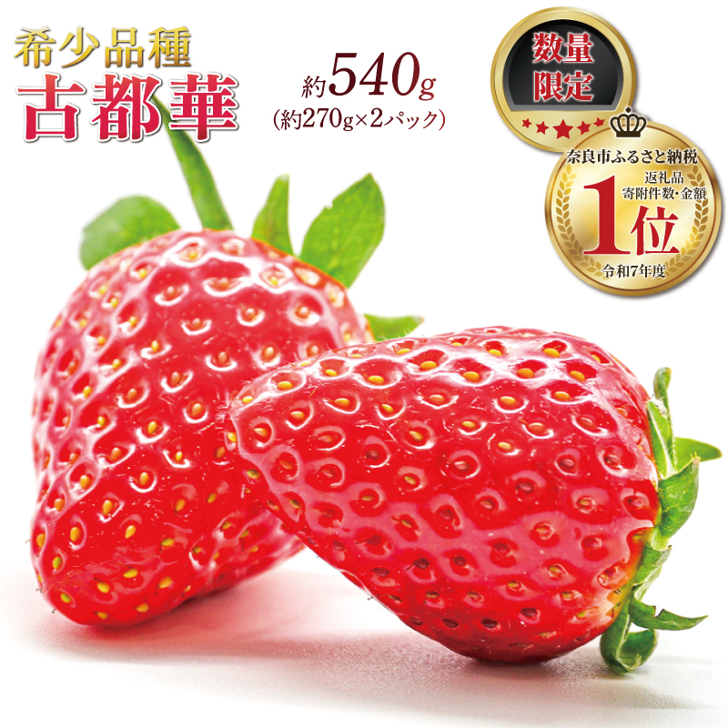 いちご ことか 約270g×2パック 先行予約 【2027年4~5月発送】古都華 サイズ混合 数量限定 産地直送 春 旬 国産 冷蔵 イチゴ 苺 itigo ichigo strawberry ストロベリー フルーツ 果物 くだもの 小分け ブランドいちご ふるさと納税いちご ふるさと納税イチゴ 奈良いちご 甘い 人気 おすすめ 贈答 プレゼント お歳暮 奈良県 奈良市 奈良 いちご農家だるま