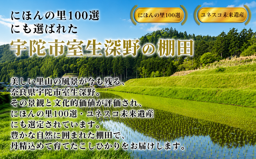 【先行予約】R8年度産 新米こしひかり白米9kg