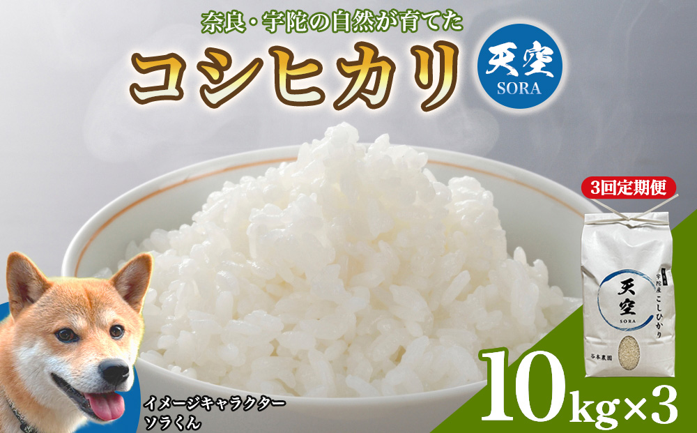 宇陀の自然が育てた 天空【sora】コシヒカリ 定期便 10kg×3回｜奈良県宇陀産 白米