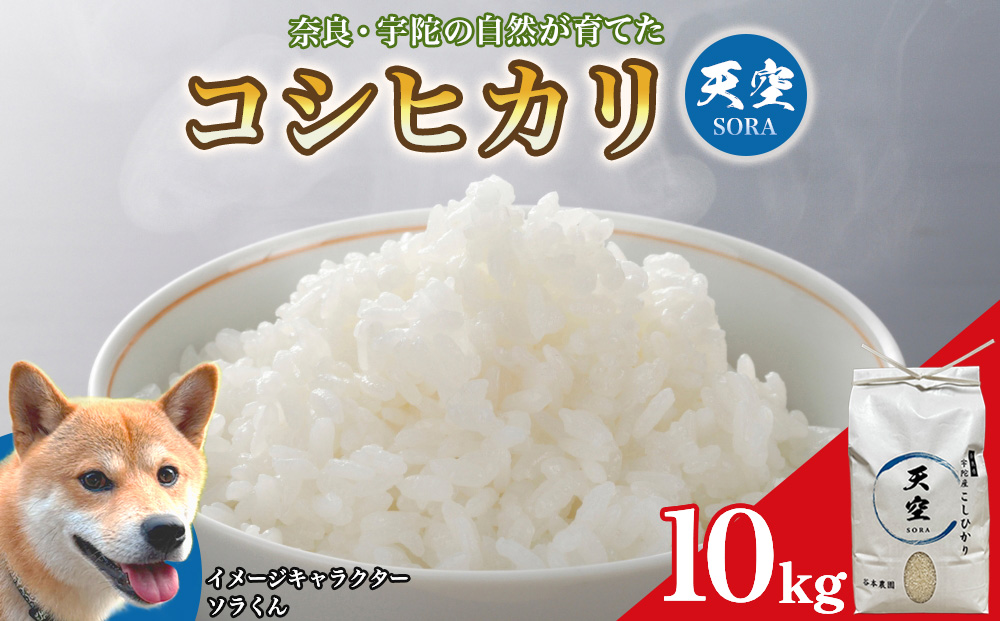 宇陀の自然が育てた 天空【sora】コシヒカリ 10kg｜奈良県宇陀産 白米