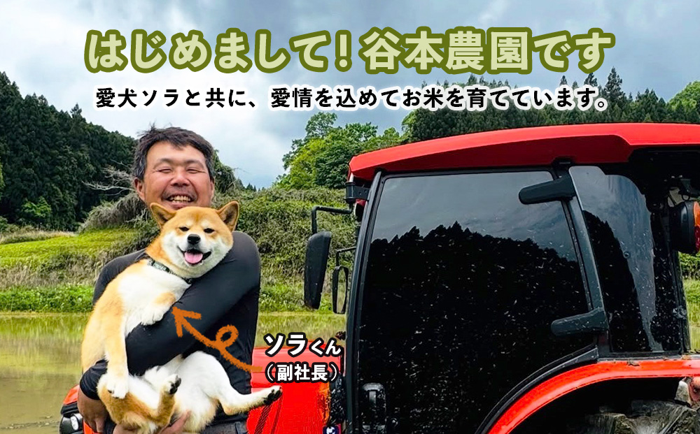 宇陀の自然が育てた 天空【sora】コシヒカリ 定期便 5kg×6回｜奈良県宇陀産 白米