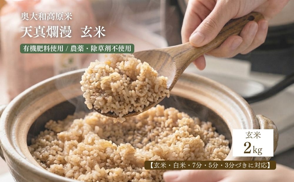 【令和8年産】天真爛漫 2kg｜玄米・分づき・白米｜単発 ／ 無農薬 米 お米 こめ コメ 国産 新米 玄米 一等米 農家やまおか 有機肥料使用 農薬不使用 除草剤不使用 奈良県 宇陀市 ふるさと納税