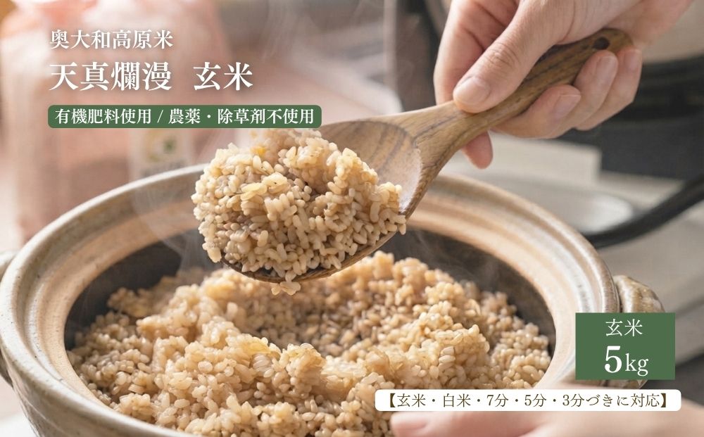 【令和8年産】天真爛漫 5kg ｜玄米・分づき・白米｜単発 ／ 無農薬 米 お米 こめ コメ 国産 新米 玄米 一等米 農家やまおか 有機肥料使用 農薬不使用 除草剤不使用 奈良県 宇陀市 ふるさと納税