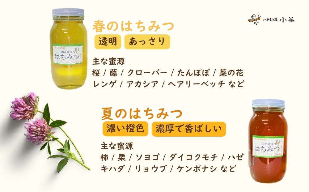 ハチミツ屋小谷 はちみつ 夏セット／ 百花蜜 国産 純粋 蜂蜜 ハチミツ ハニー 非加熱 無精製 贈答用 贈り物 奈良県 宇陀市 ふるさと納税