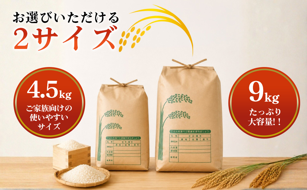 【先行予約】R8年度産 新米こしひかり白米4.5kg